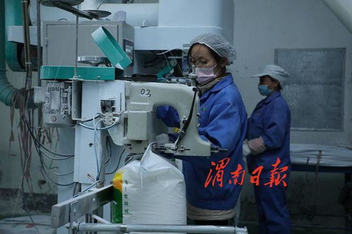 高效協(xié)同 質(zhì)量為先——論壓鑄制品行業(yè)如何保障生產(chǎn)供應與市場穩(wěn)定